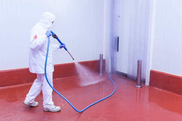  Babbitt, MN Pressure Washing Pros